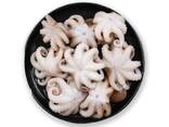 Whole Clean Octopus — Frozen - photo 3